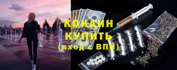 сатива Зеленокумск