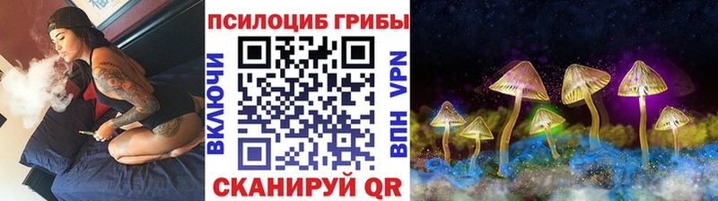 Псилоцибиновые грибы Cubensis  Краснодар 