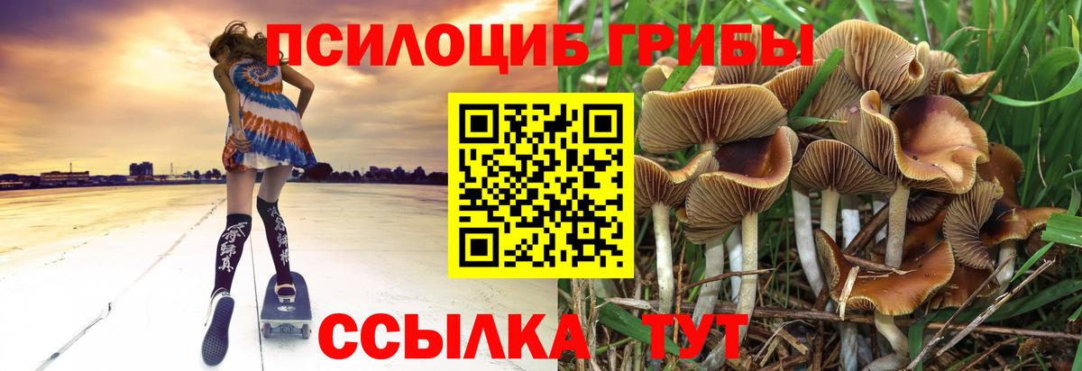 Галлюциногенные грибы Magic Shrooms Краснодар