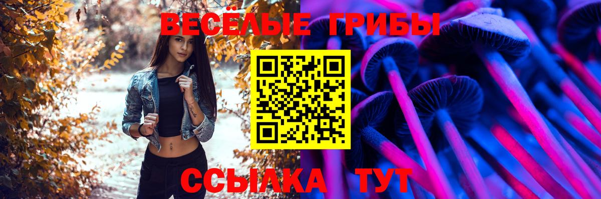 Галлюциногенные грибы мухоморы  купить  цена  Краснодар  Вход с VPN  Галлюциногенные грибы GOLDEN TEACHER 